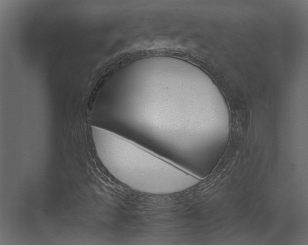 X0000074231493200608250802