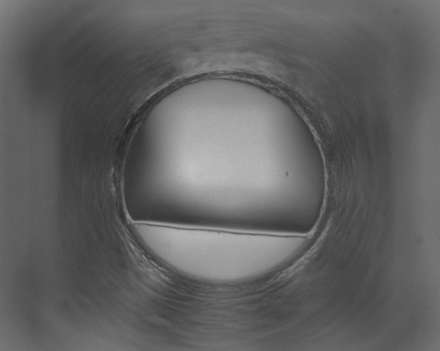 X0000074231497200608250803