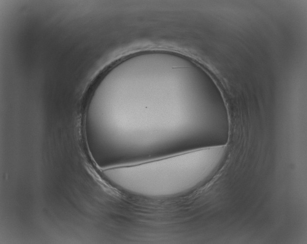 X0000074231503200608250803