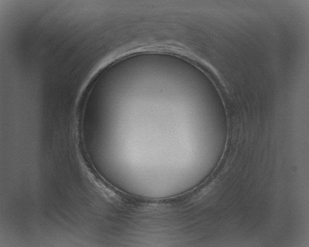 X0000074231506200608250803