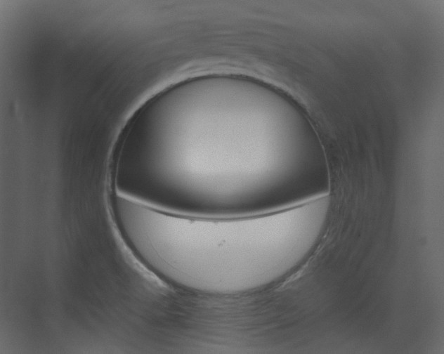 X0000074231518200608250803