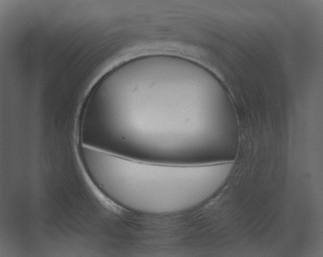 X0000074231523200608250803