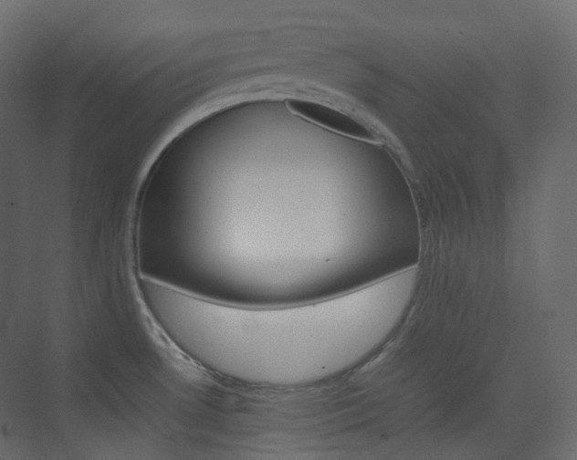 X0000074231530200608250803