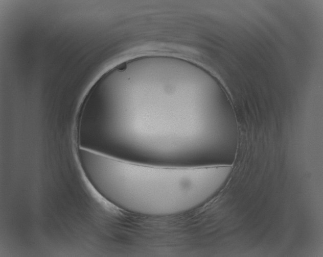 X0000074231531200608250803