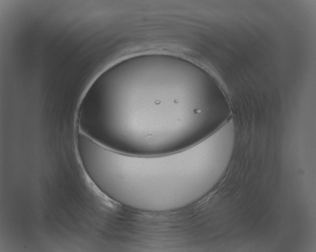 X0000074231532200608250803
