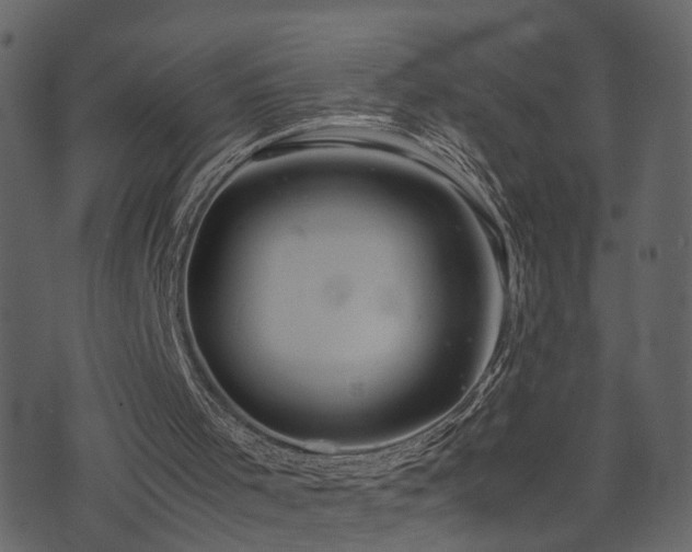 X0000074230001200608251125