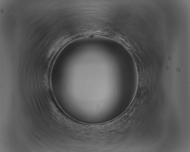 X0000074230002200608251125