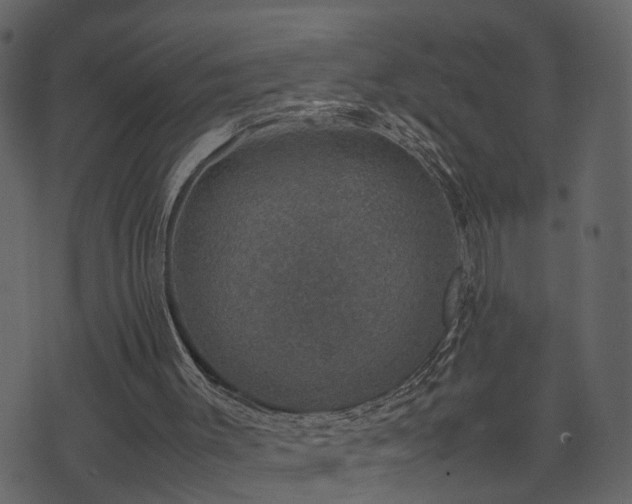 X0000074230003200608251125