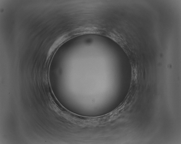 X0000074230004200608251125