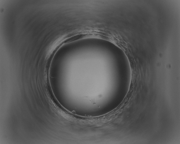 X0000074230005200608251125