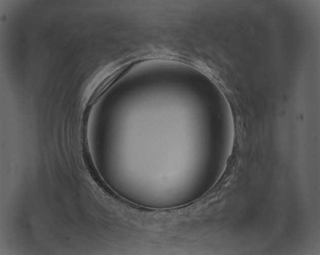 X0000074230007200608251125