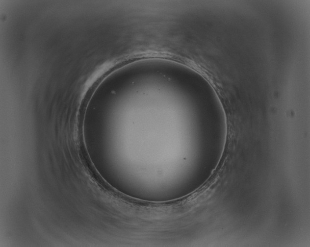 X0000074230008200608251125