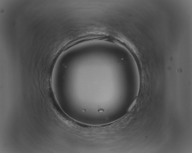 X0000074230009200608251125