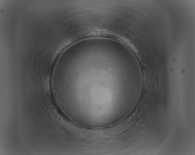 X0000074230010200608251125