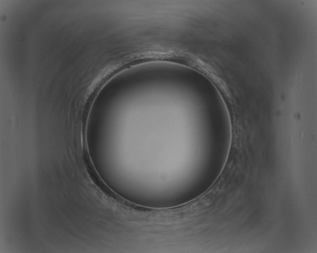 X0000074230011200608251125