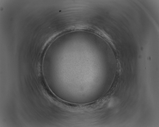 X0000074230012200608251125