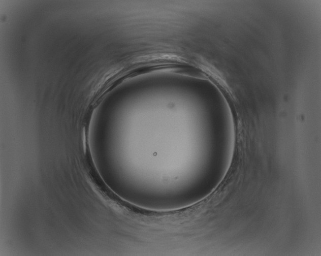 X0000074230013200608251125