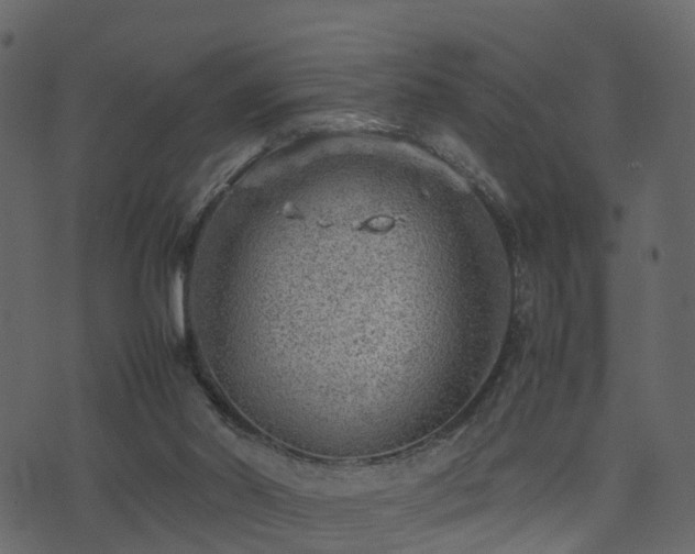 X0000074230014200608251125