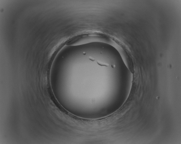 X0000074230015200608251125