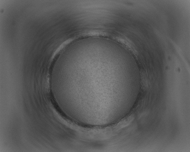 X0000074230016200608251125