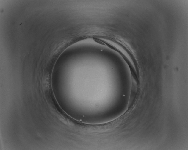 X0000074230017200608251125