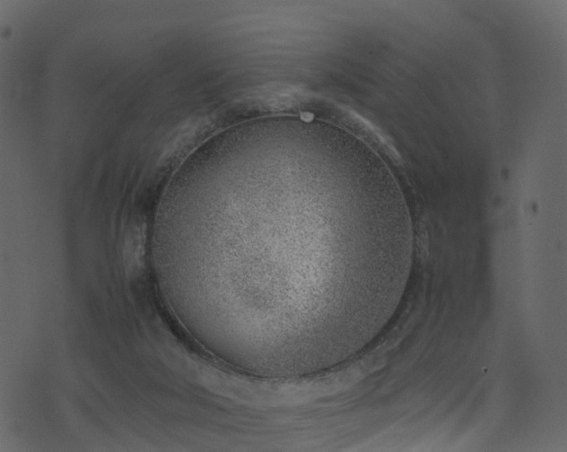 X0000074230018200608251125