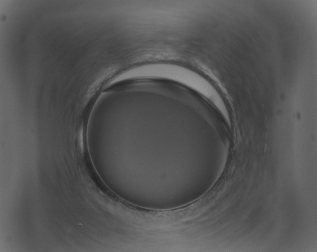 X0000074230019200608251125