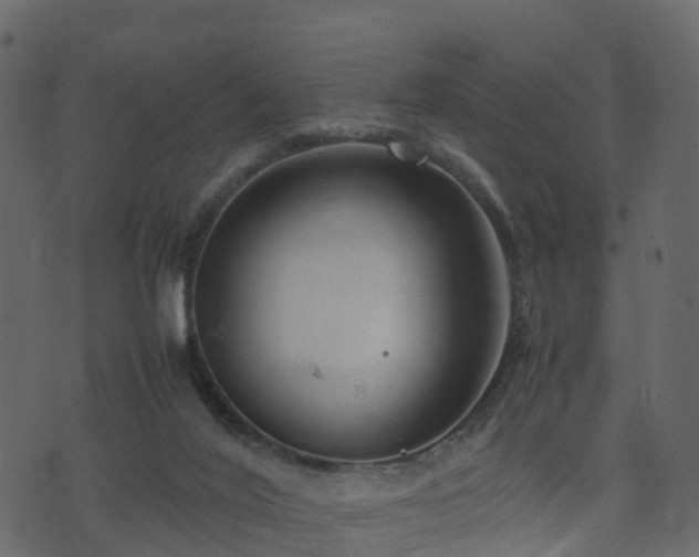 X0000074230020200608251125