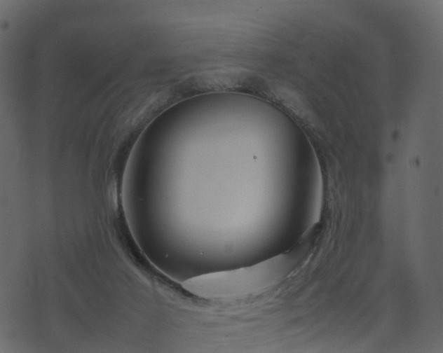 X0000074230021200608251125