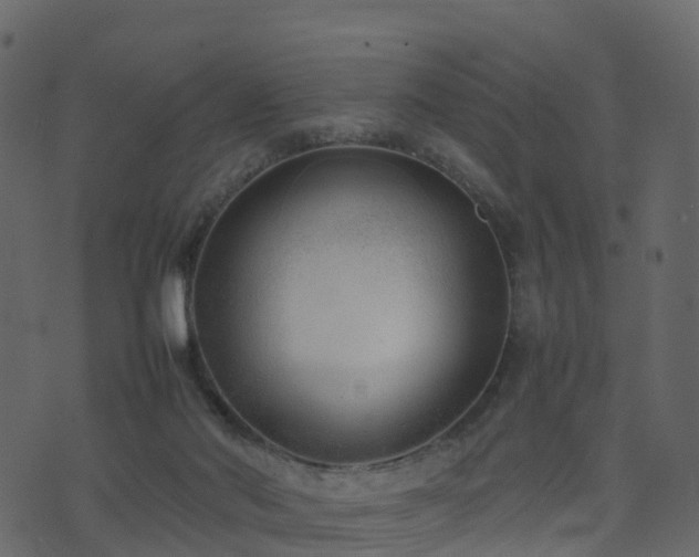 X0000074230022200608251125