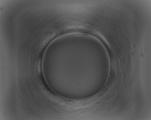 X0000074230023200608251125