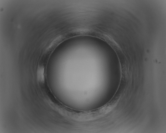 X0000074230024200608251125