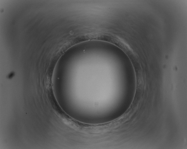 X0000074230025200608251125