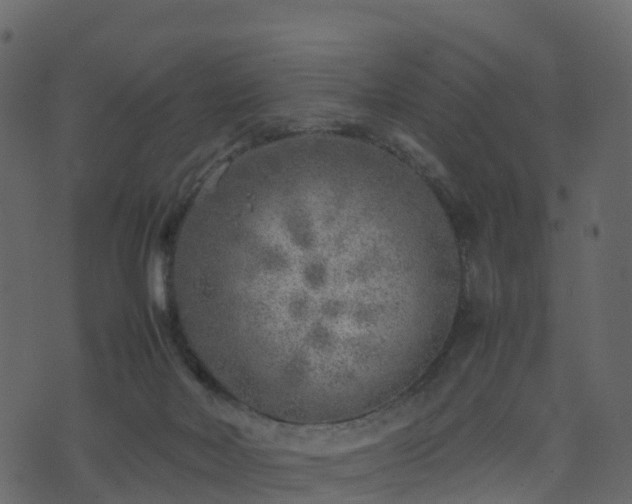 X0000074230026200608251125