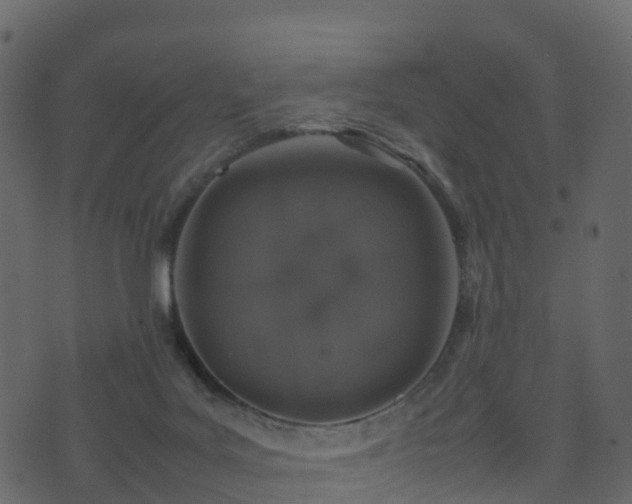 X0000074230027200608251124