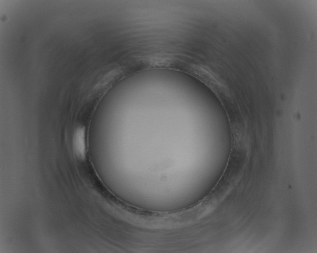 X0000074230028200608251124