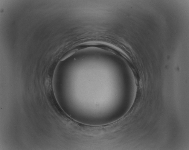 X0000074230029200608251124