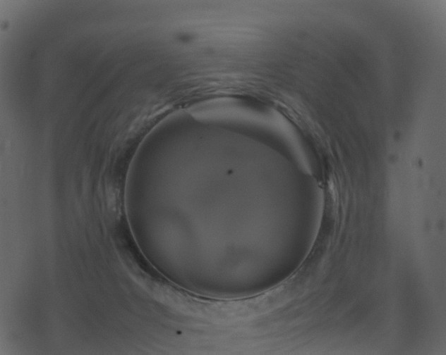 X0000074230031200608251124