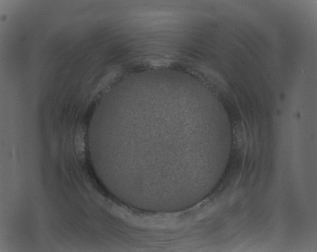 X0000074230032200608251124