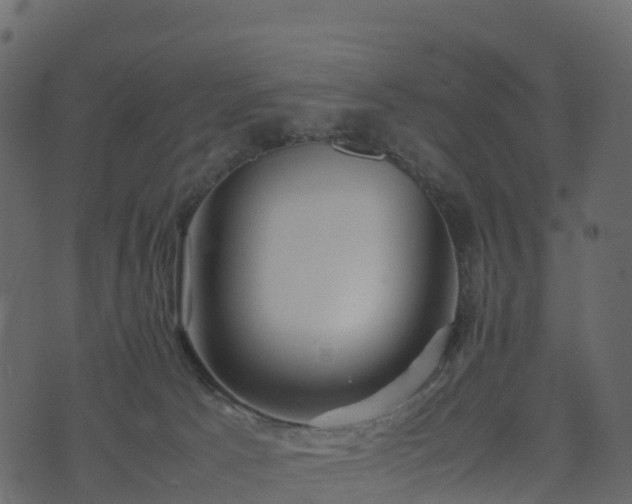 X0000074230033200608251124