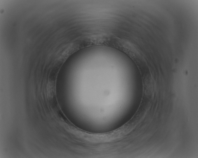 X0000074230034200608251124