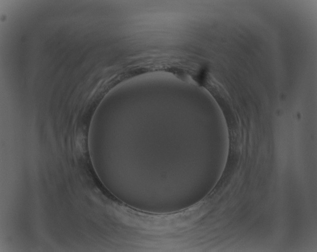 X0000074230035200608251124