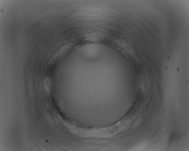 X0000074230036200608251124