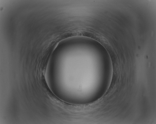 X0000074230037200608251124