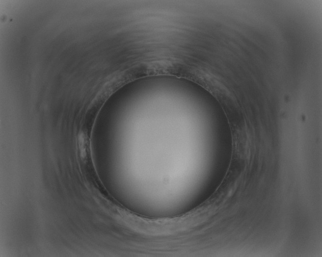 X0000074230038200608251124