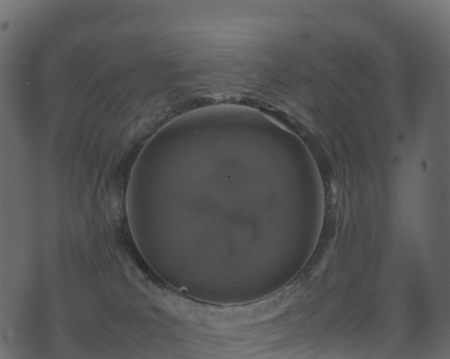 X0000074230039200608251124