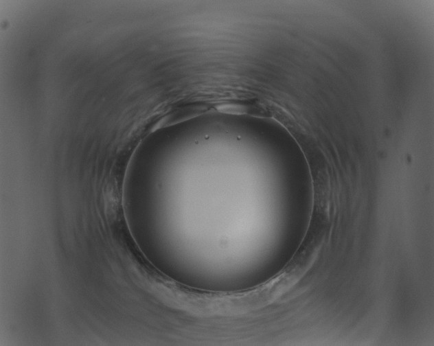 X0000074230040200608251124