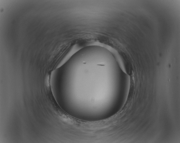 X0000074230041200608251124