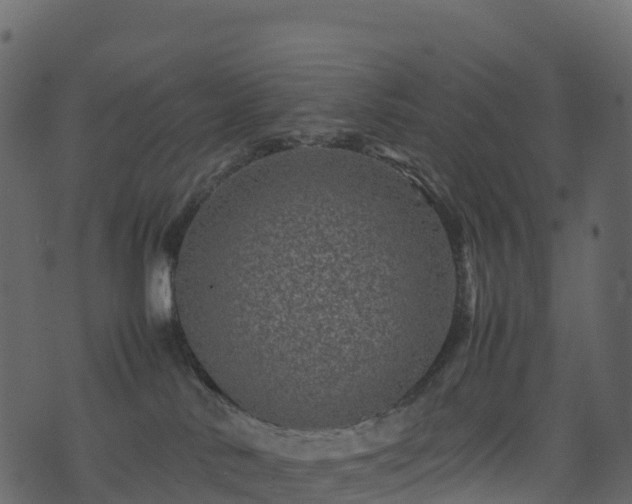 X0000074230042200608251124