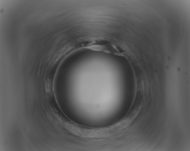 X0000074230044200608251124